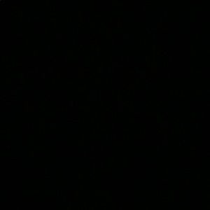 Meet your Posher, Eva